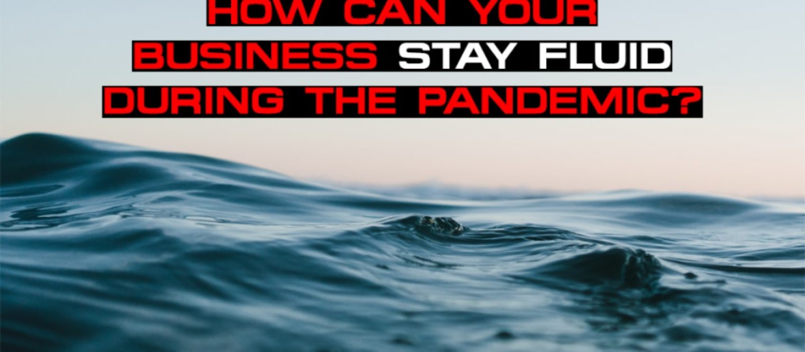 How Can Your Business Stay Fluid During the Pandemic - Sales Ninja Blog