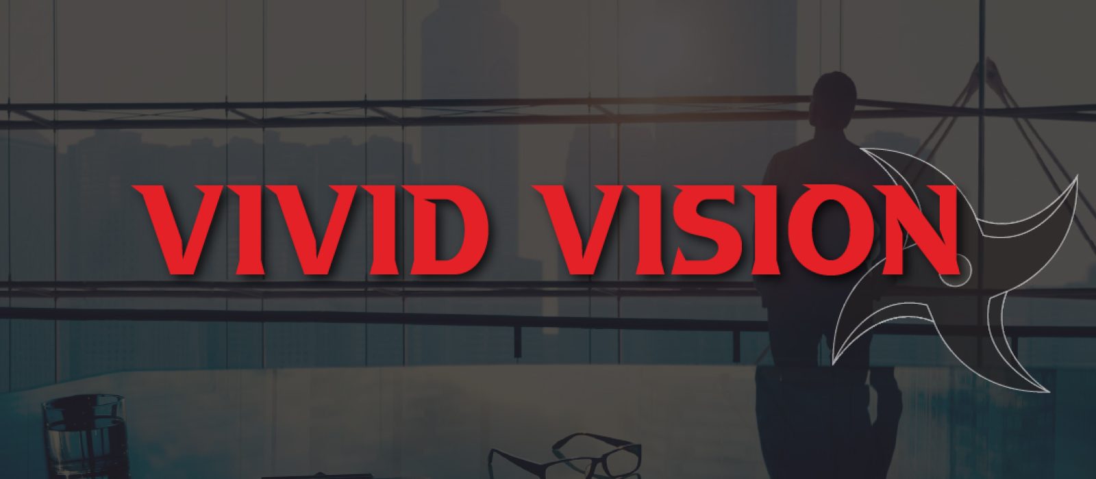 Vivid Vision, Sales Ninja, Cameron Herold, Double Double, goal-setting, vision therapy, sales training Asia, business strategy, personal development, amblyopia, strabismus, convergence insufficiency.